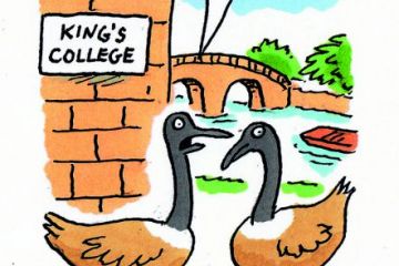cartoon geese
