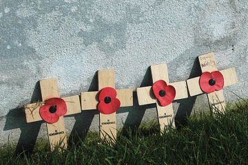 First World War (WW1) memorial crosses and poppies First World War (WW1) memorial crosses and poppies