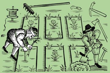 A historic picture of two gardeners