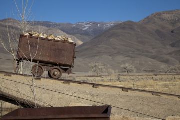 Gold rush cart Gold rush cart