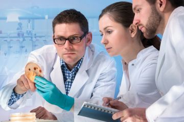 Group of scientists working in laboratory