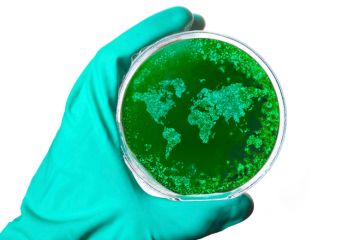 Hand holding petri dish with world map-shaped bacteria Hand holding petri dish with world map-shaped bacteria