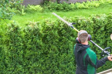 Hedge trimming