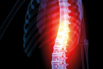 Illustration of person's spine highlighted Illustration of person's spine highlighted