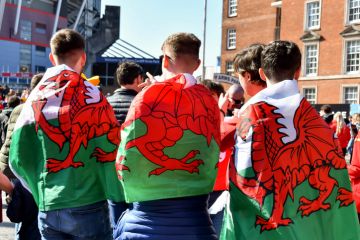 Welsh fans Welsh fans