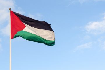 Palestine flag Palestine flag