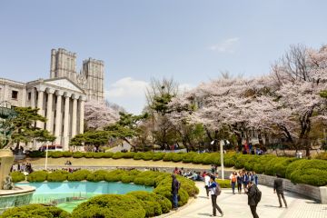 Kyung Hee University is a one of the most famous university in South Korea. Kyung Hee University is a one of the most famous university in South Korea.