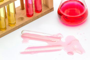 Lab, broken glass