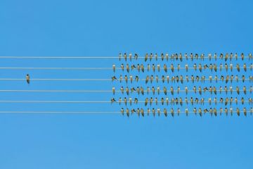 Top universities for best student to staff ratio