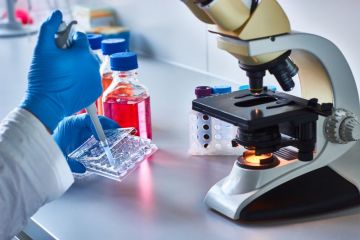stem cell research
