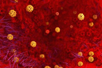 coronavirus SARS