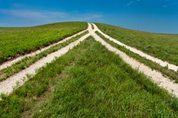 Two tracks in a field merge into one, illustrating mergers