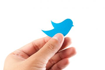 Hand holding blue paper bird in style of Twitter logo Hand holding blue paper bird in style of Twitter logo