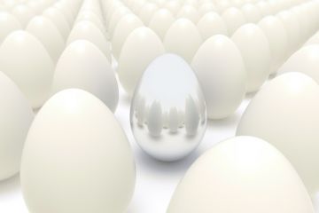Silver Egg Among Plain Eggs Silver Egg Among Plain Eggs