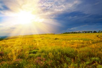 neutrinos sun bombarded nobel winning scientists