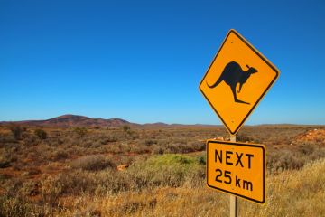 Kangeroo road sign in Australia Kangeroo road sign in Australia