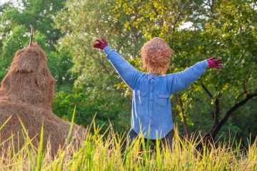 Straw scarecrow Straw scarecrow