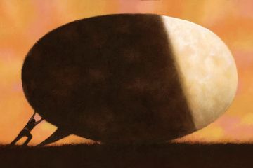 James Fryer illustration (3 November 2016)