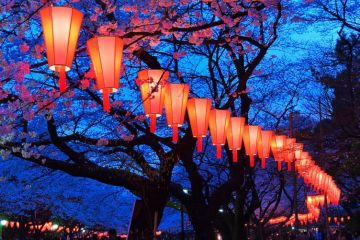 Japanese lanterns