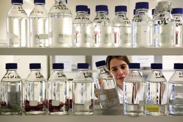 A female scientist looking at bottles of chemicals in a lab A female scientist looking at bottles of chemicals in a lab