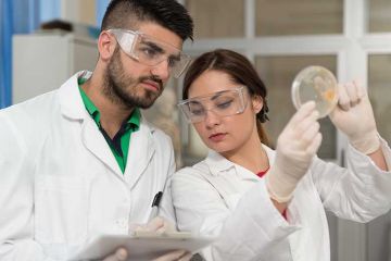 lab_test_alamy