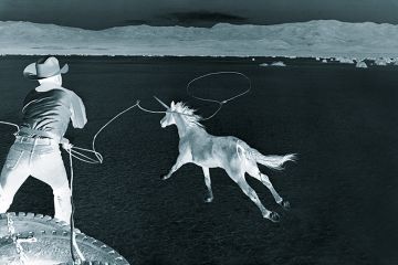 Is chasing unicorns the way to achieve commercial success?