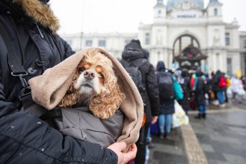 Lviv, Ukraine - March 7, 2022 Ukrainian refugees on Lviv railway station waiting for train to escape to Europe