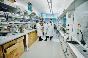 Lab