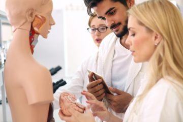 Medical trainees hold an anatomical dummy's brain, symbolising reorganising the NHS