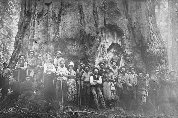 Sequoia called ‘Karl Marx’