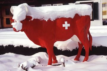 Model of a Swiss cow Model of a Swiss cow