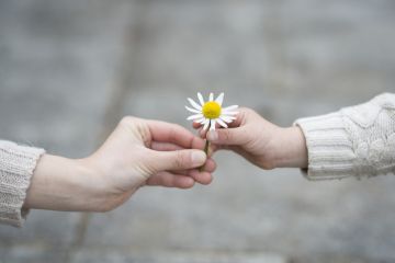Mother and daughter are giving white Margaret flowers