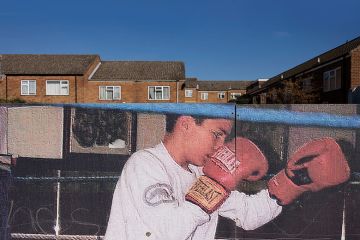Boxer on mural