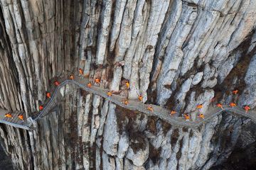 Martial artists practice kung fu on the cliffs at Mount Song, Dengfeng, Henan Province of China