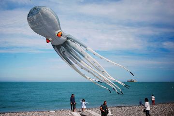 Octopus kite