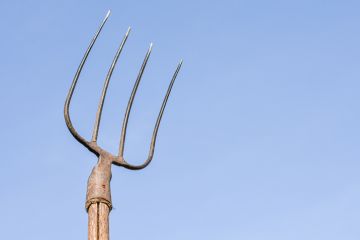 Pitchfork raised to the sky