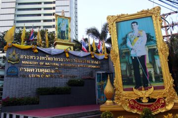 Portrait of Maha Vajiralongkorn, the King of Thailand