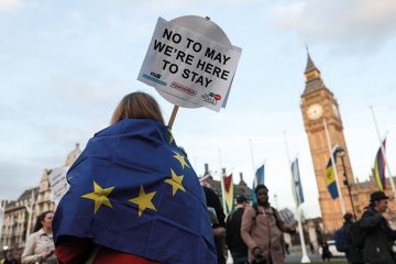 Pro-EU protester