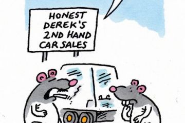 rat cartoon