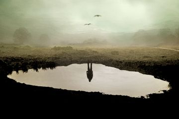 Person's reflection in pond, with their body missing. To illustrate the sense of grief brought on by the large numbers of job cuts across higher education in the UK Person's reflection in pond, with their body missing. To illustrate the sense of grief brought on by the large numbers of job cuts across higher education in the UK