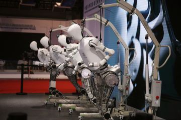 Humanoid robots tied to frames at 2025 World Robot Conference in Beijing, China on 11 August, 2025. To illustrate that highly restrictive policies around AI use in universities are being eased in favour of more nuanced responses.