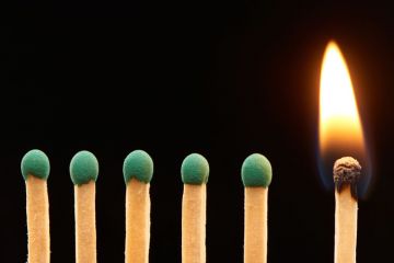 Row of green matches, one burning Row of green matches, one burning