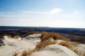 Sand dunes, Terschelling, Friesland, Netherlands Sand dunes, Terschelling, Friesland, Netherlands