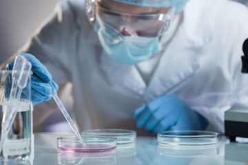 Scientist carefully carrying matured cell to another plate