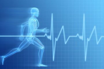 Sport, sport science, sports science Why study sports science?