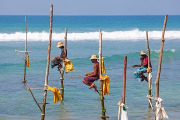 Fishermen sit on their stilts waiting for shoal of fish that will pass their stilts in the shallow water, Weligama, Sri Lanka. Fishermen sit on their stilts waiting for shoal of fish that will pass their stilts in the shallow water, Weligama, Sri Lanka.