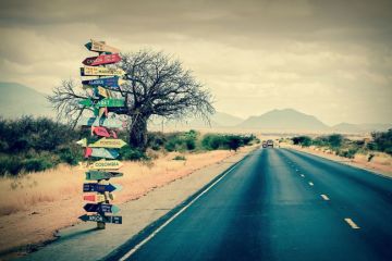 study abroad