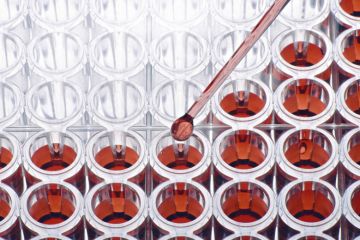 Filling test tubes Filling test tubes