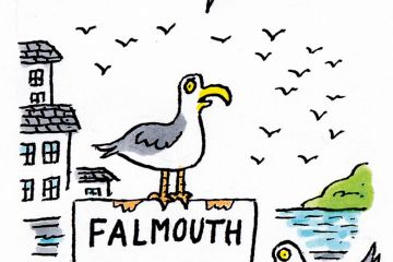 The week in higher education cartoon (16 June 2016) The week in higher education cartoon (16 June 2016)