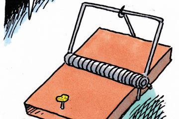 The week in higher education cartoon (28 January 2015) The week in higher education cartoon (28 January 2015)